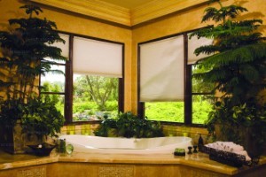 How To Find Energy-Efficient Window Treatments For Your NJ Home Thumbnail