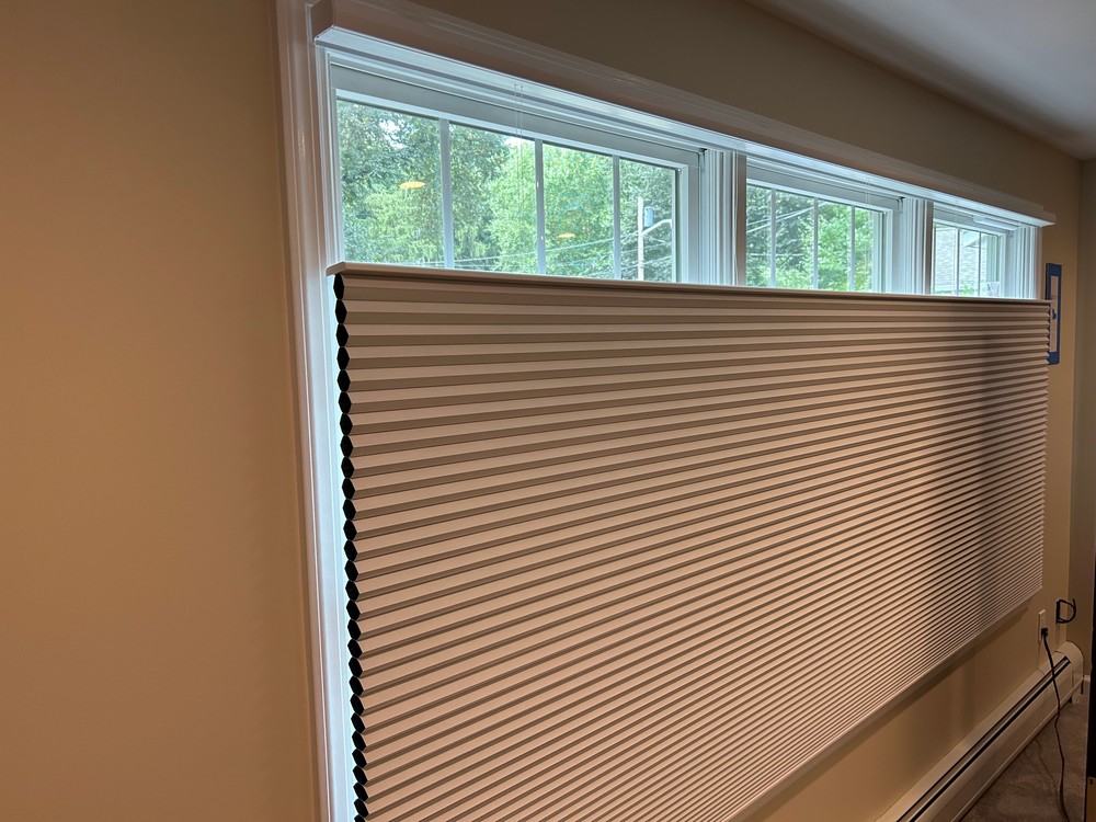 Beneficial Hunter Douglas 3/4-Inch Cordless Cellular Shades in Montvale, NJ